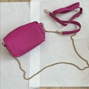 Anthropologie Pink and Gold Crossbody Bag with Chain Strap
